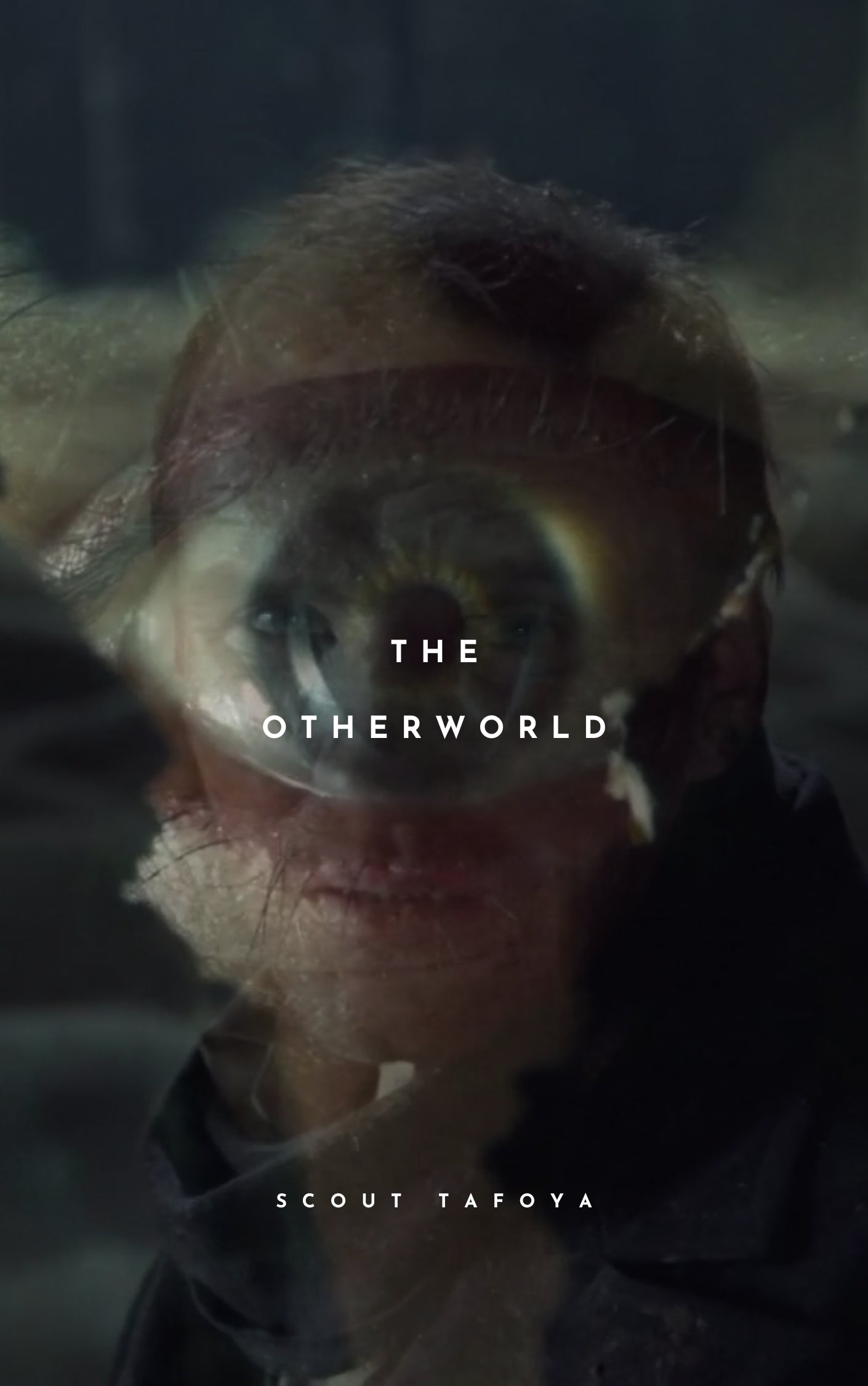 The Otherworld: The Mythic Dimensions of Christophe Gans